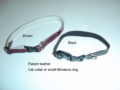 Cat Collar or small miniature dog