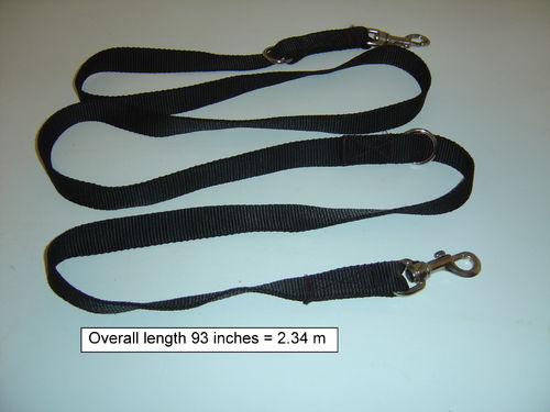 Training lead  for obedience