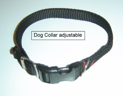 Dog Collar adjustable